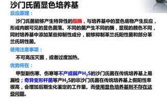 沙門氏菌的食品微生物學檢驗方法解析與佳發微招辦應用探討
